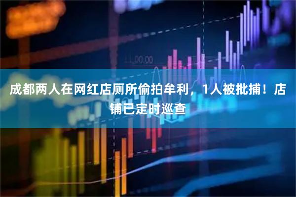 成都两人在网红店厕所偷拍牟利，1人被批捕！店铺已定时巡查