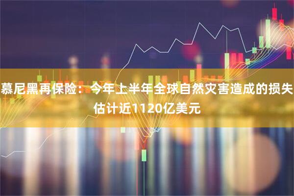 慕尼黑再保险：今年上半年全球自然灾害造成的损失估计近1120亿美元